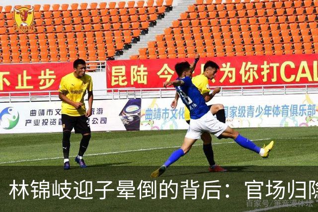 林锦岐迎子晕倒的背后：官场归隐与爱的抉择